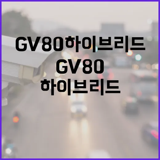 GV80하이브리드 기다릴지 결정하는 방법 - 요약