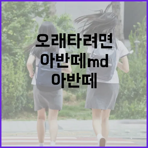 아반떼MD 오래 타려면 이렇게 관리하면 편합니다 - 요약