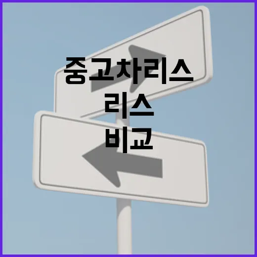 중고차리스 처음 알아볼 때 손해 덜 보려면 이렇게 비교하는 방법 - 요약