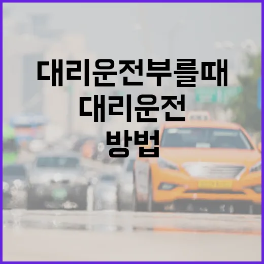 대리운전 부를 때 덜 불안하게 이용하는 방법 - 요약