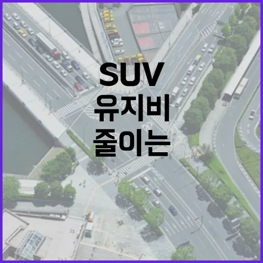 토요타SUV 고를 때 후회 줄이는 방법, 주차장부터 유지비까지 이렇게 보세요 - 요약