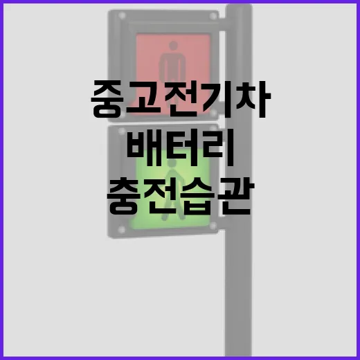 중고전기차 고르는 방법, 배터리부터 충전 습관까지 이렇게 보세요 - 요약