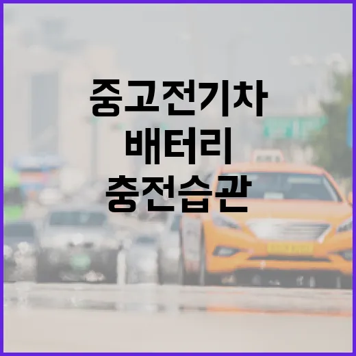중고전기차 사려면 이렇게 확인하세요, 배터리부터 충전 습관까지 - 요약