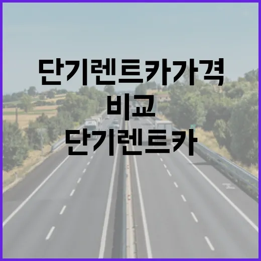 단기렌트카가격비교 하는 방법, 하루 빌려도 덜 손해 보려면 이렇게 - 요약