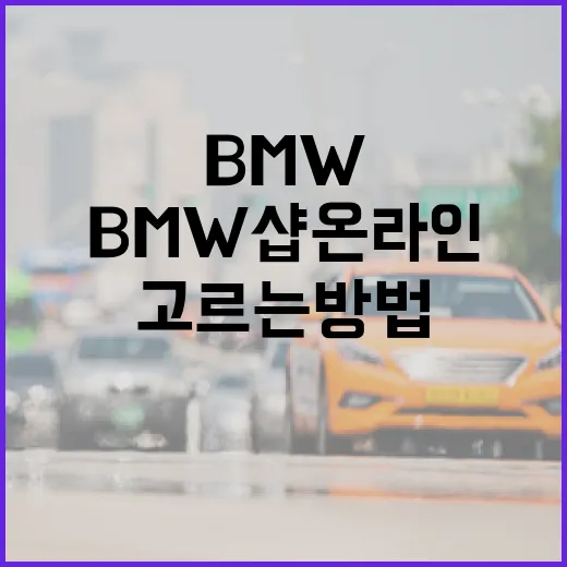 BMW샵온라인에서 필요한 소모품과 액세서리 고르는 방법 - 요약