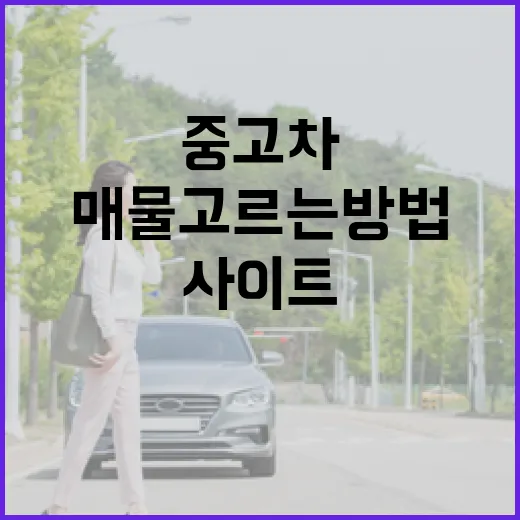 중고차구매사이트에서 허탕 덜 치고 좋은 매물 고르는 방법 - 요약