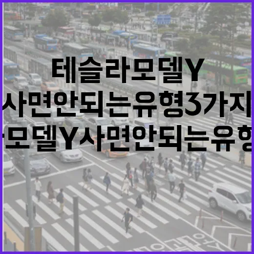 테슬라 모델 Y 사면 안 되는 유형 3가지, 계약 전에 이렇게 걸러보세요 - 요약