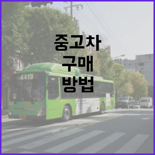 중고차구매 처음이라면 이렇게 보세요, 14년 운전자가 실제로 확인하는 방법 - 요약