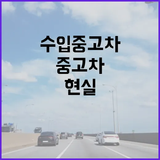 수입중고차 고르려면 이렇게 보세요: 주차장부터 수리비까지 현실 체크 방법 - 요약