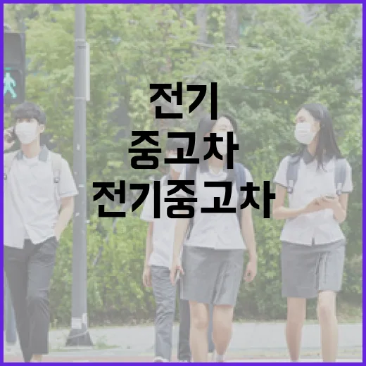 전기중고차 사려면 이렇게 보세요: 배터리부터 충전 습관까지 현실 체크 방법 - 요약