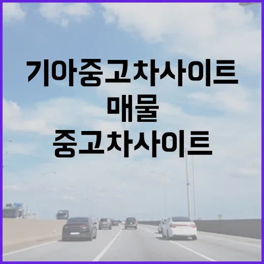 기아중고차사이트에서 허탕 덜 치고 매물 고르는 방법 - 요약