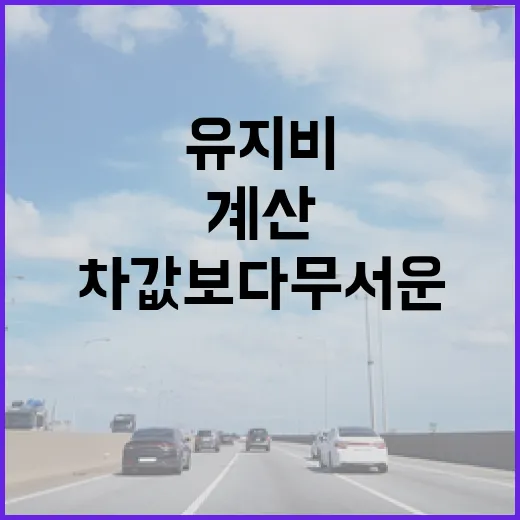 포르쉐가격 보려면 이렇게 계산하세요, 차값보다 무서운 유지비까지 - 요약