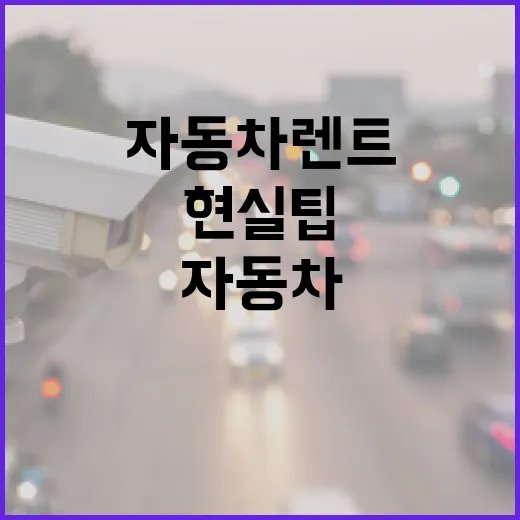자동차렌트 처음 하려면 이렇게 확인하세요, 과태료 덜 내는 현실 팁 - 요약
