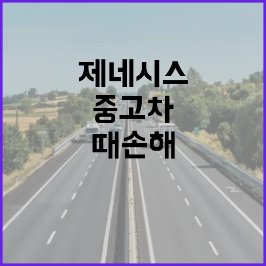 제네시스중고차 고를 때 손해 덜 보려면 이렇게 확인하세요 - 요약