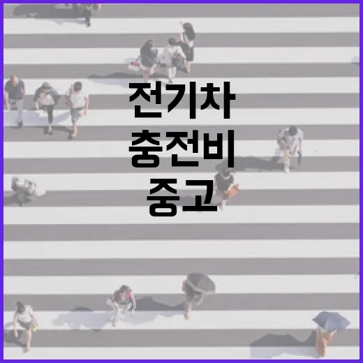 전기차중고차 고를 때 배터리부터 충전비까지 확인하는 방법 - 요약