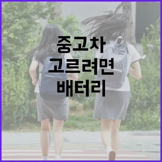 전기차중고차 고르려면 배터리부터 이렇게 확인하세요 - 요약