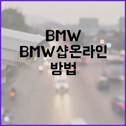 BMW샵온라인으로 액세서리 살 때 덜 헤매는 방법 - 요약