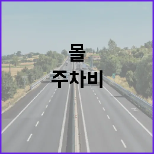 벤츠코리아 차량 몰 때 주차비와 과태료 덜 맞으려면 이렇게 챙기기 - 요약
