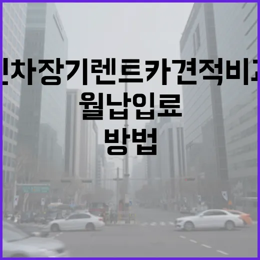 신차장기렌트카견적비교 제대로 하는 방법, 월 납입료만 보면 손해입니다 - 요약