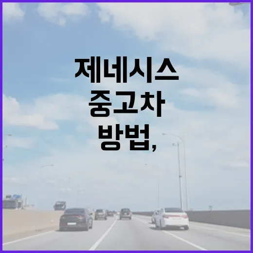 제네시스중고차 고를 때 덜 후회하는 방법, 주차장 생활까지 보고 판단하기 - 요약