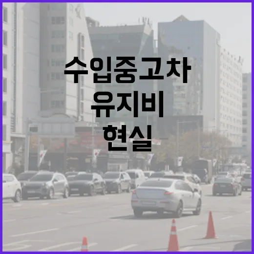 수입중고차 사려면 이렇게 확인하세요, 주차장과 유지비까지 본 현실 체크법 - 요약