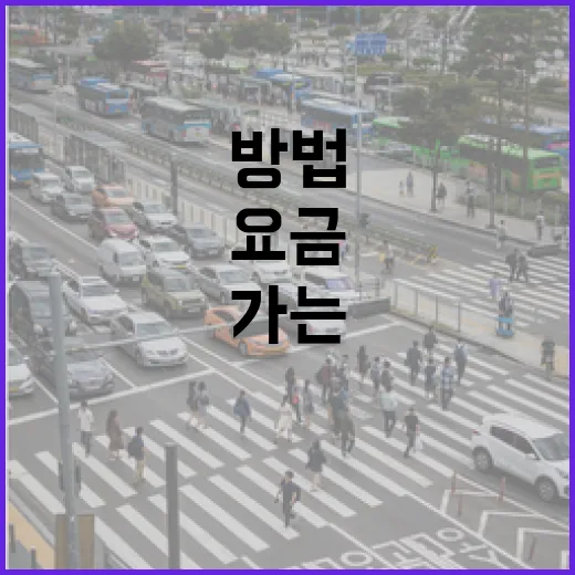 홍성대리운전 부르려면 이렇게, 요금 덜 흔들리고 집까지 편하게 가는 방법 - 요약