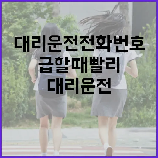 대리운전전화번호 제대로 저장하고 급할 때 빨리 부르는 방법 - 요약