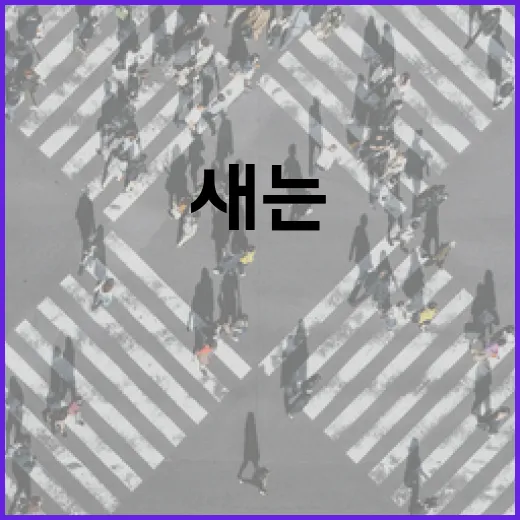 편도렌트카 빌리려면 이렇게 따져보세요, 반납지 때문에 돈 새는 일 줄이는 방법 - 요약