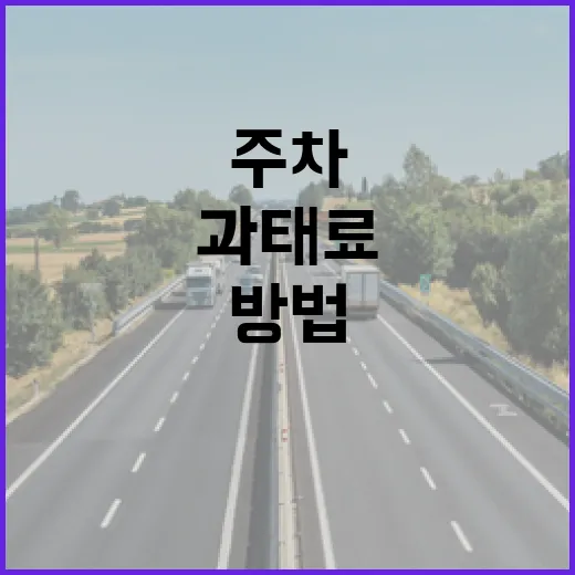 주차 앱 제대로 쓰는 방법, 과태료 덜 내고 자리 찾으려면 이렇게 - 요약