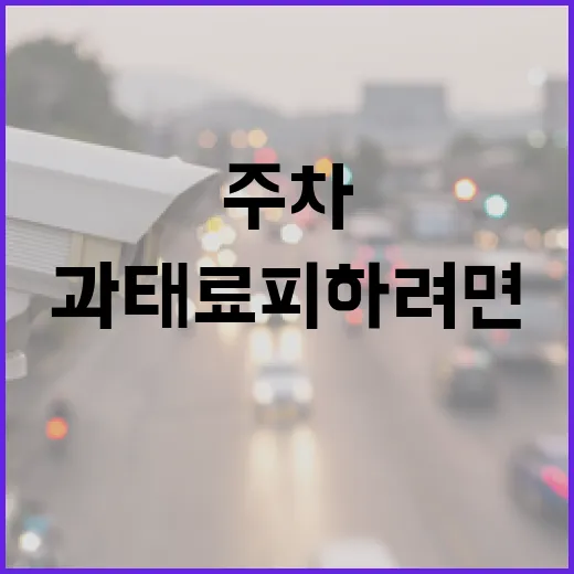 주차 앱 제대로 쓰는 방법, 과태료 피하려면 이렇게 깔아두세요 - 요약