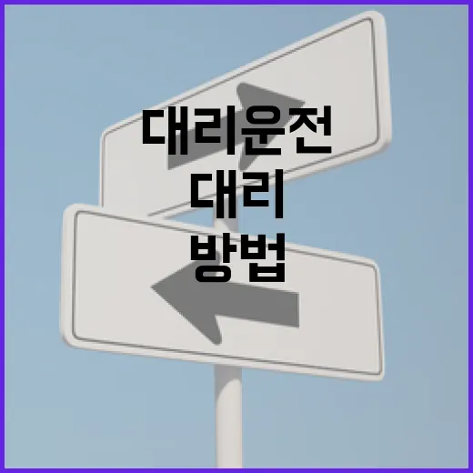 법인대리운전 부를 때 실수 줄이는 방법, 회사 차 타는 사람은 이렇게 챙기세요 - 요약