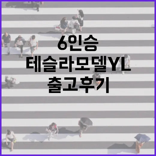테슬라 모델Y L 6인승 출고 후기, 가족차로 고르려면 이렇게 확인하세요 - 요약