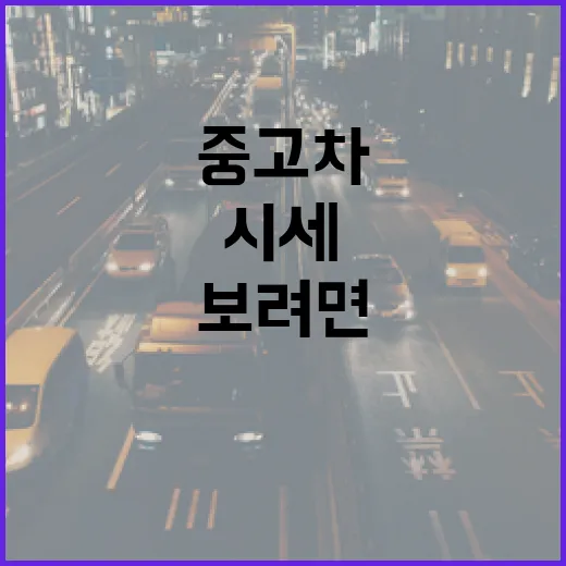 중고차시세 제대로 보려면 이렇게 확인하세요 - 요약