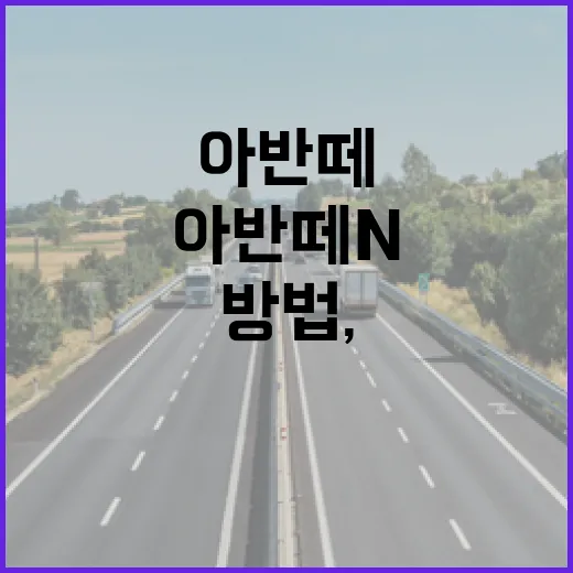 아반떼N으로 주차장 편하게 다니는 방법, 낮은 차고와 넓은 범퍼 감각 잡기 - 요약