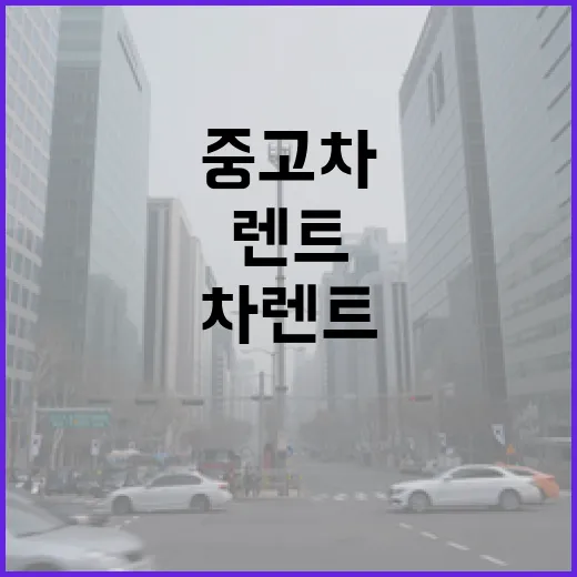 중고차렌트 고를 때 덜 당하려면 이렇게 확인하세요 - 요약