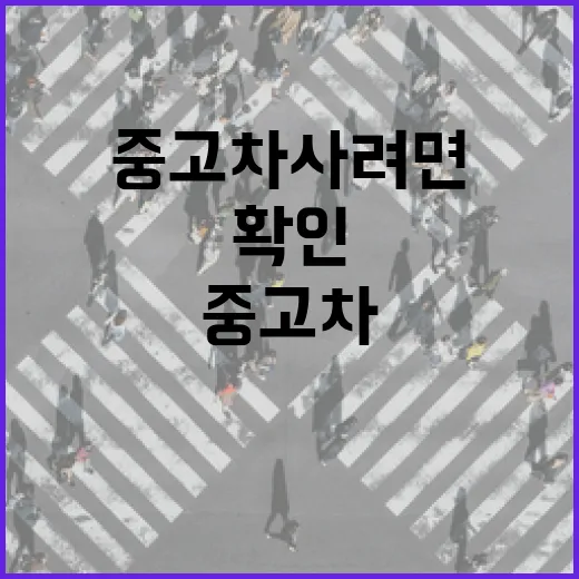중고차 사려면 이렇게 보세요, 주차장까지 덜 고생하는 확인 방법 - 요약