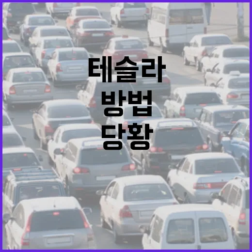 테슬라 처음 몰 때 주차장에서 덜 당황하는 방법 - 요약