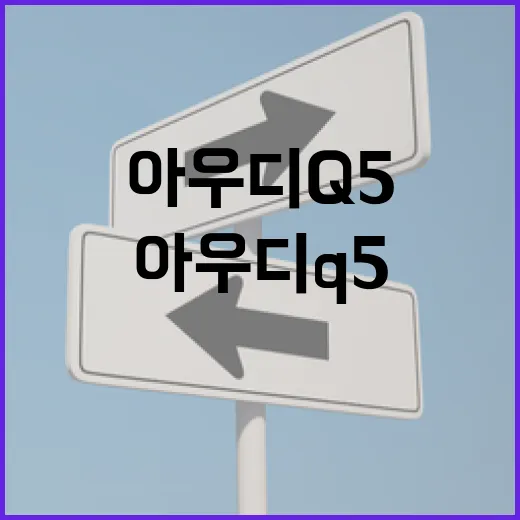 아우디Q5 주차 편하게 하려면 이렇게 잡으면 됩니다 - 요약