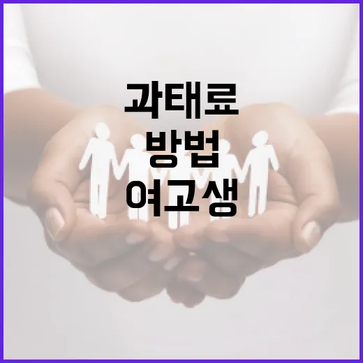 장윤기 여고생 키워드 보고도 헷갈리지 않는 주차 과태료 피하는 방법 - 요약