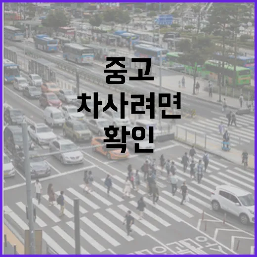 중고전기차 사려면 이렇게 확인하세요 - 요약