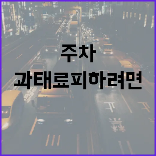 주차 앱 제대로 쓰는 방법, 과태료 피하려면 이렇게 깔아두세요 - 요약