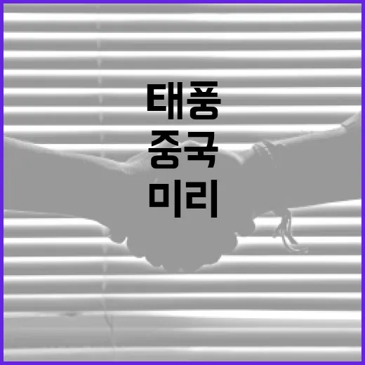 중국 태풍 소식 들릴 때 운전자가 미리 챙기는 방법 - 요약