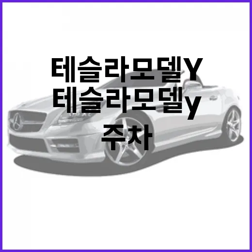 테슬라 모델Y 주차 편하게 하는 방법, 처음 몰 때 덜 당황하려면 이렇게 - 요약