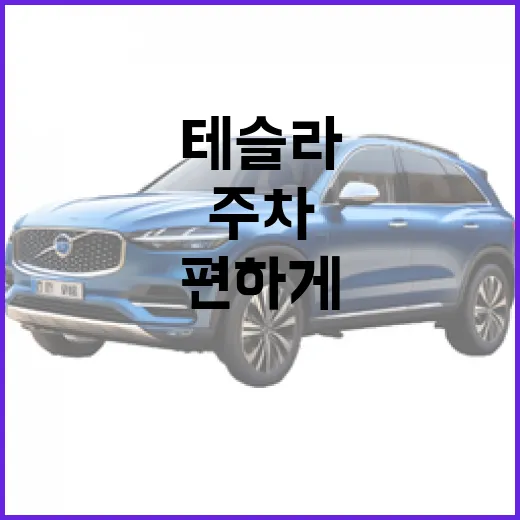 테슬라 주차 편하게 하려면 이렇게 하면 덜 헤맵니다 - 요약