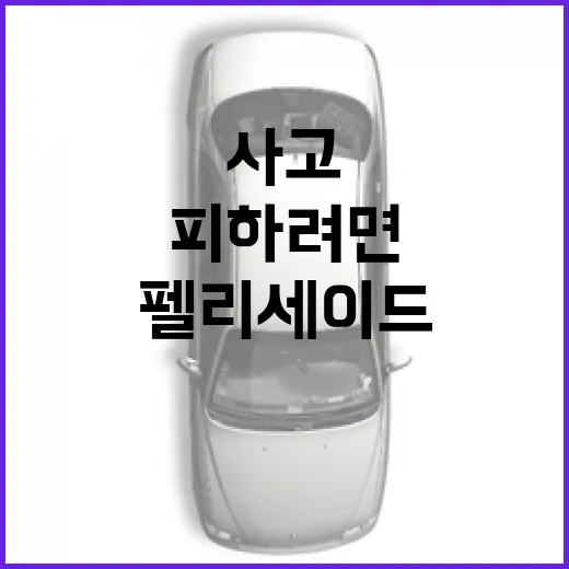펠리세이드 사고 피하려면 이렇게 주차하고 출발하세요 - 요약