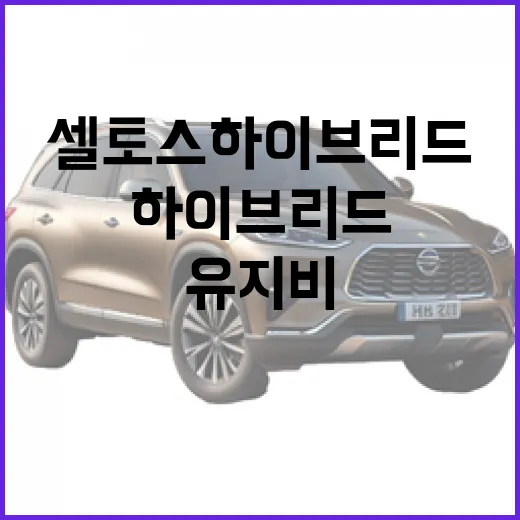 셀토스 하이브리드 기다릴 때 주차·유지비까지 따져보는 방법 - 요약
