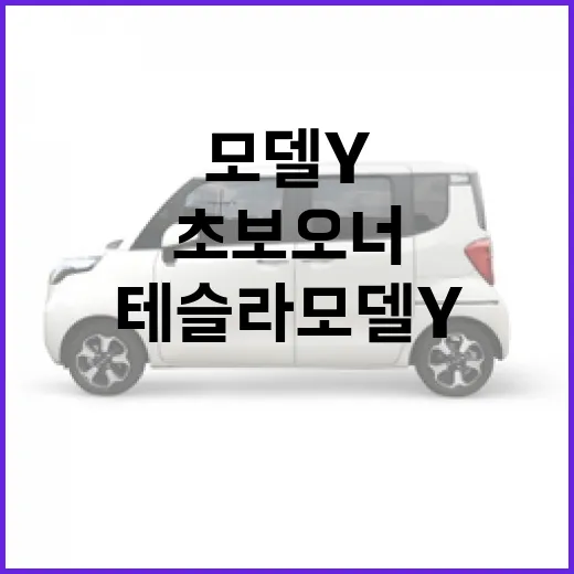 테슬라 모델y 주차 편하게 하려면 이렇게, 초보 오너가 먼저 만질 설정들 - 요약