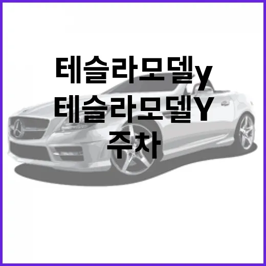 테슬라 모델Y 주차 편하게 하려면 이렇게 잡아야 덜 긁습니다 - 요약