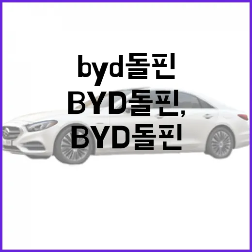 BYD 돌핀, 주차장 생활에 맞는지 확인하는 방법 - 요약