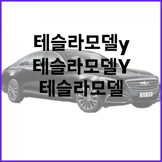 테슬라 모델Y 주차 편하게 하려면 이렇게 잡으면 됩니다 - 요약